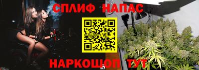 не бодяженный Будённовск