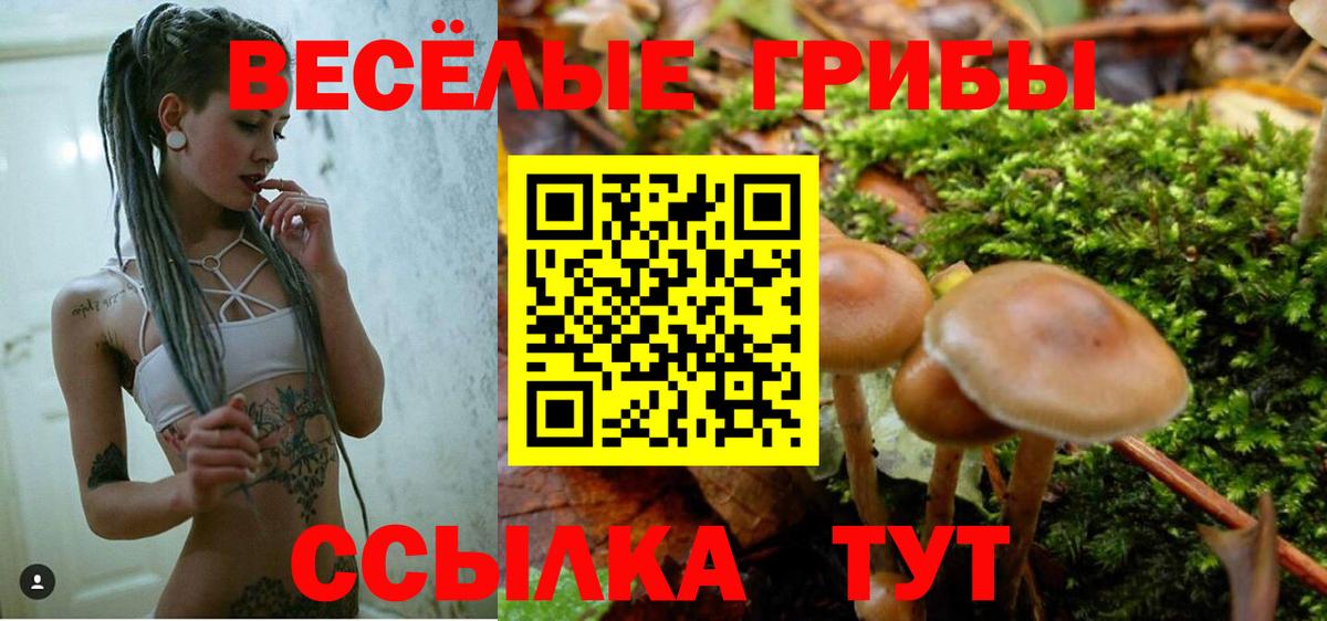 Славянск-на-Кубани  Псилоцибиновые грибы ЛСД  Вход с VPN  Галлюциногенные грибы Magic Shrooms 